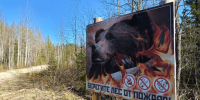 Лесной пожар на севере Карелии потушен - StolicaOnego.Ru