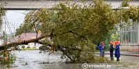 Упавшие деревья, вода на дорогах и пробки: Томск вновь затопило после сильного ливня - News.VTomske.Ru