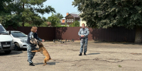 JPG Файл - ГУ МВД Московской области