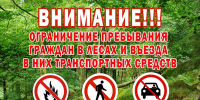 Вновь вводится ограничение на посещение лесов - Народное слово