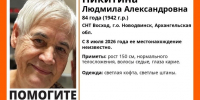Источник: Поисковый отряд «ЛизаАлерт» Архангельской обл. / Vk.com - 29.Ru