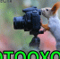 «Фотоохота» - ЦБС г. Ессентуки