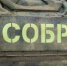 Росгвардейцы в Дагестане помогли задержать подозреваемого в пропаганде экстремистской символики - Дагестанская правда