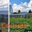 Приставы решили спор нижегородцев переносом туалета - ИА Нижний сейчас