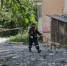 В Гуково жителям дома, пострадавшего от БПЛА, не разрешили вернуться в квартиры - DonDay.Ru
