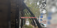 Сильный ветер в Томске валит деревья: пострадали машины и дома - ГТРК Томск