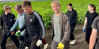 Юные афанасьевцы проходят летнюю практику на полях алексеевского «Агротех-Гаранта» - Сетевое издание Газета-Заря 31
