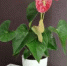 Кладу в шкаф 1 ингредиент — и вещи пахнут вкусно, как в дорогом бутике: способ для любой хозяйки - SevastopolMedia