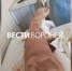Завод в Лисках оштрафовали на 305 тысяч после ЧП с лишившимся ноги рабочим - ГТРК Воронеж