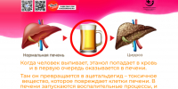 Алкоголь и печень: есть ли безопасная доза?. - Городская больница №11