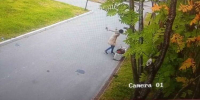 В Мурманске вандалы уничтожили вазон с цветами и изрисовали новую остановку - Мурманский вестник