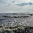 Слишком жаркий день. В Петербурге две трагедии на воде - 47 новостей