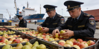 В Петербурге запретили ввоз яблок и груш из Чили и Аргентины - Peterburg2.Ru