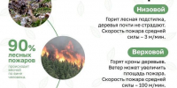 В лесах Марий Эл на 31 июля произошло 13 пожаров - Минприроды Республики Марий Эл