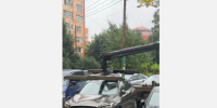 В Туле у фармкомпании за долги по зарплате арестовали Infiniti - Молодой коммунар