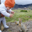 Авачинский перевал Елена Поддубная, ИА KamchatkaMedia - KamchatkaMedia.Ru