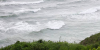 y0o0k71waqmt1xstfnzf0xteql3uozyv.jpg - Primorye24.Ru