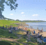 kopruy0369.jpg - Лесотехнический университет