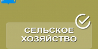 ПАМЯТКА о принятии мер по ликвидации (закрашиванию) надписей, содержащих незаконную рекламу или пропаганду наркотических средств и психотропных веществ - Усть-Абаканский район