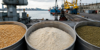 В порту Петербурга задержали крупную партию зерновой продукции из Индии - Spbdnevnik.ru