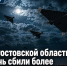 Над Ростовской областью за ночь сбили более 20 беспилотников - Bloknot-Rostov.Ru
