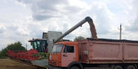 В Дмитриевском районе стартовала уборочная кампания - Газета Дмитриевский вестник