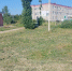 В Краснооктябрьском сельском поселении прокомментировали ситуацию с амброзией - Газета Маяк
