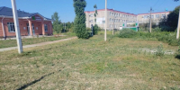 В Краснооктябрьском сельском поселении прокомментировали ситуацию с амброзией - Газета Маяк