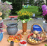 Администрация Хабаровска приглашает участников на фестиваль «Вальс цветов» - Газета Хабаровские вести