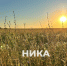 Калужан ждут жаркие выходные - Телерадиокомпания Ника