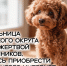 JPG Файл - УМВД Архангельской области