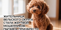 JPG Файл - УМВД Архангельской области