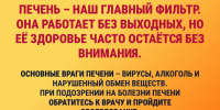 Самые распространенные заболевания печени - Городская поликлиника №13