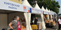 В Ивангороде стартуют торжества в честь Дня рождения Ленобласти - 47Channel.Ru
