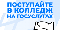 У абитуриентов осталось две недели для подачи заявлений в колледжи на Госуслугах - Министерство образования