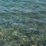 Черное море на курортах Краснодарского края ощутимо остыло - Кубанские Новости