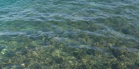 Черное море на курортах Краснодарского края ощутимо остыло - Кубанские Новости