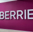Татьяна Ким назвала удары по инфраструктуре Wildberries атаками на мирных граждан - ИА Новомосковск Сегодня