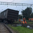 Следователи выясняют причины схода вагонов в Приамурье - Amur.Life