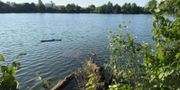 Прохожий спас 11-летнего мальчика на Стрелецком озере в Курске - Курские Известия