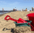 Фото: News29 - News29.Ru
