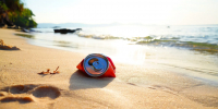 Фото: Maksim Safaniuk/Shutterstock/Fotodom - Ямал-Медиа