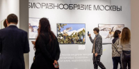 Фестиваль «Золотая черепаха» пройдет в Москве с 22 октября по 20 декабря - Правительство Москвы