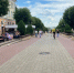 Губернатор Орловской области пригласил уличных артистов выступить на День города - РИА 57