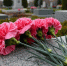 Цветы к памятнику Маргелову возложили в столице в день 96-летия ВДВ - ИА Общественная служба новостей
