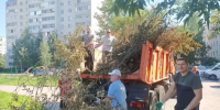 В Курске прошëл субботник - Городские Известия