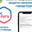 Для курян опубликовали ссылка на подачу заявлений на госуслуги - Городские Известия