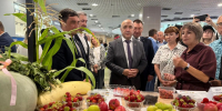 - Чувашия меняет ягодную карту России: как республика заместила импорт и создала новый бренд:  Ягодный фестиваль Чувашии - Газета Грани