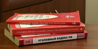 В Старой Руссе женщина осуждена за нападение на полицейского - Новгородские Ведомости