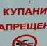35 человек утонули в Петербурге и Ленобласти с начала купального сезона - Кингисепп-сегодня.рф